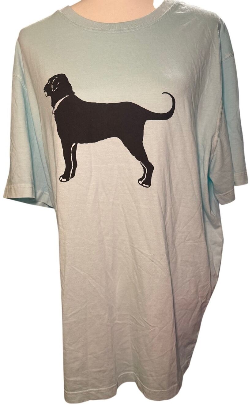 The Black Dog Martha's Vineyard Classic Graphic Tee, Seafoam, Unisex Large, NWOT